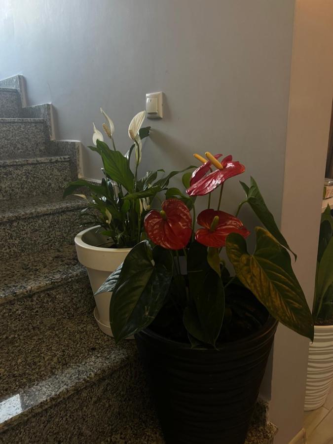 Villa Residence 卡瓦拉提 外观 照片