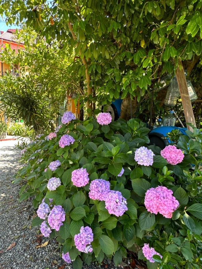 Villa Residence 卡瓦拉提 外观 照片